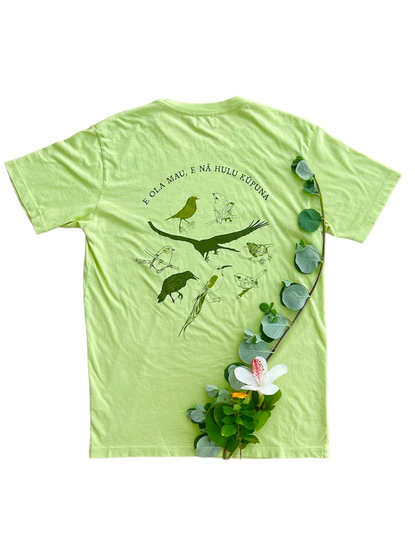 Nā Manu o ka Nahele | Kāne Tee - light green *ASF*